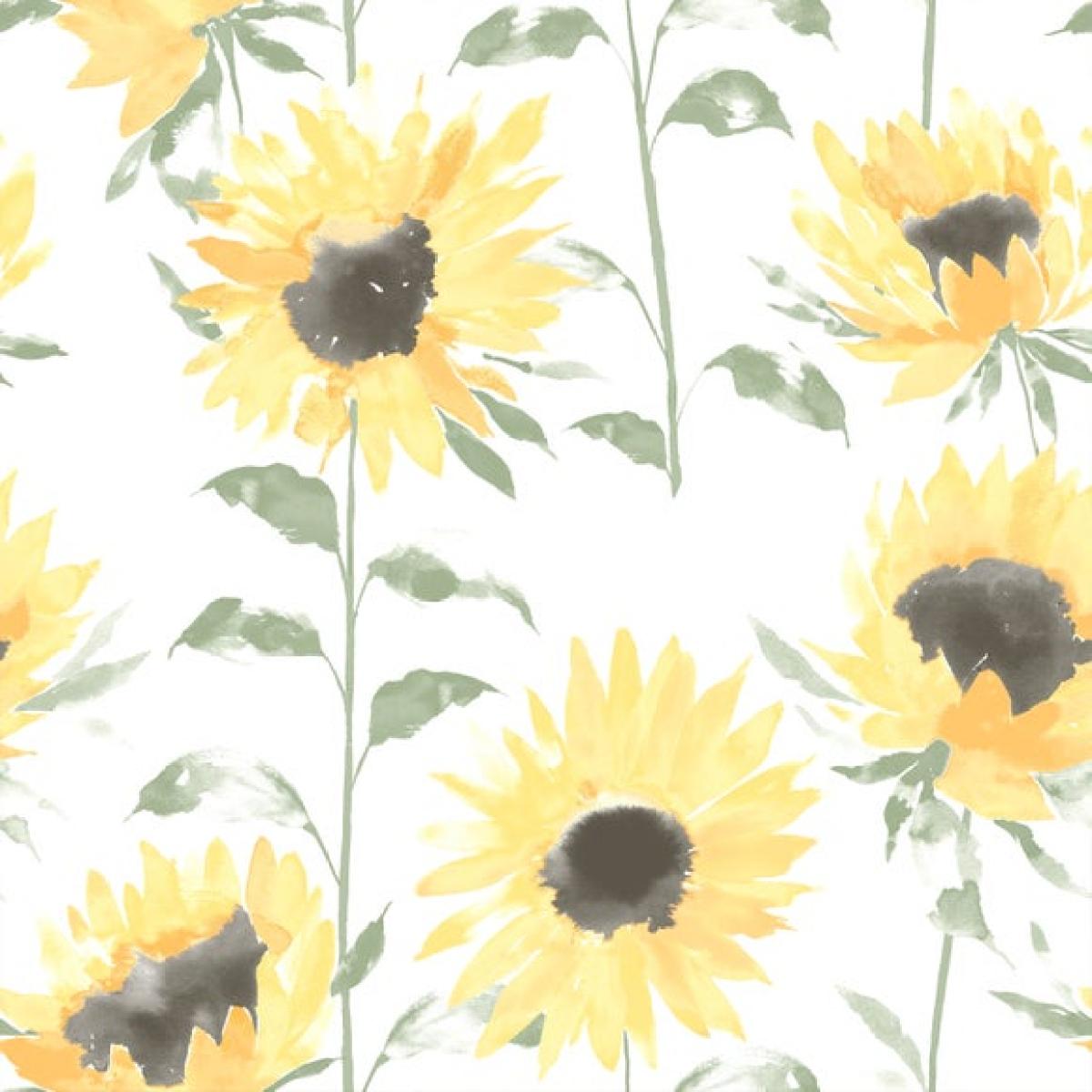 Catherine Lanfield Painted Sunflowers Wallpaper – image 3