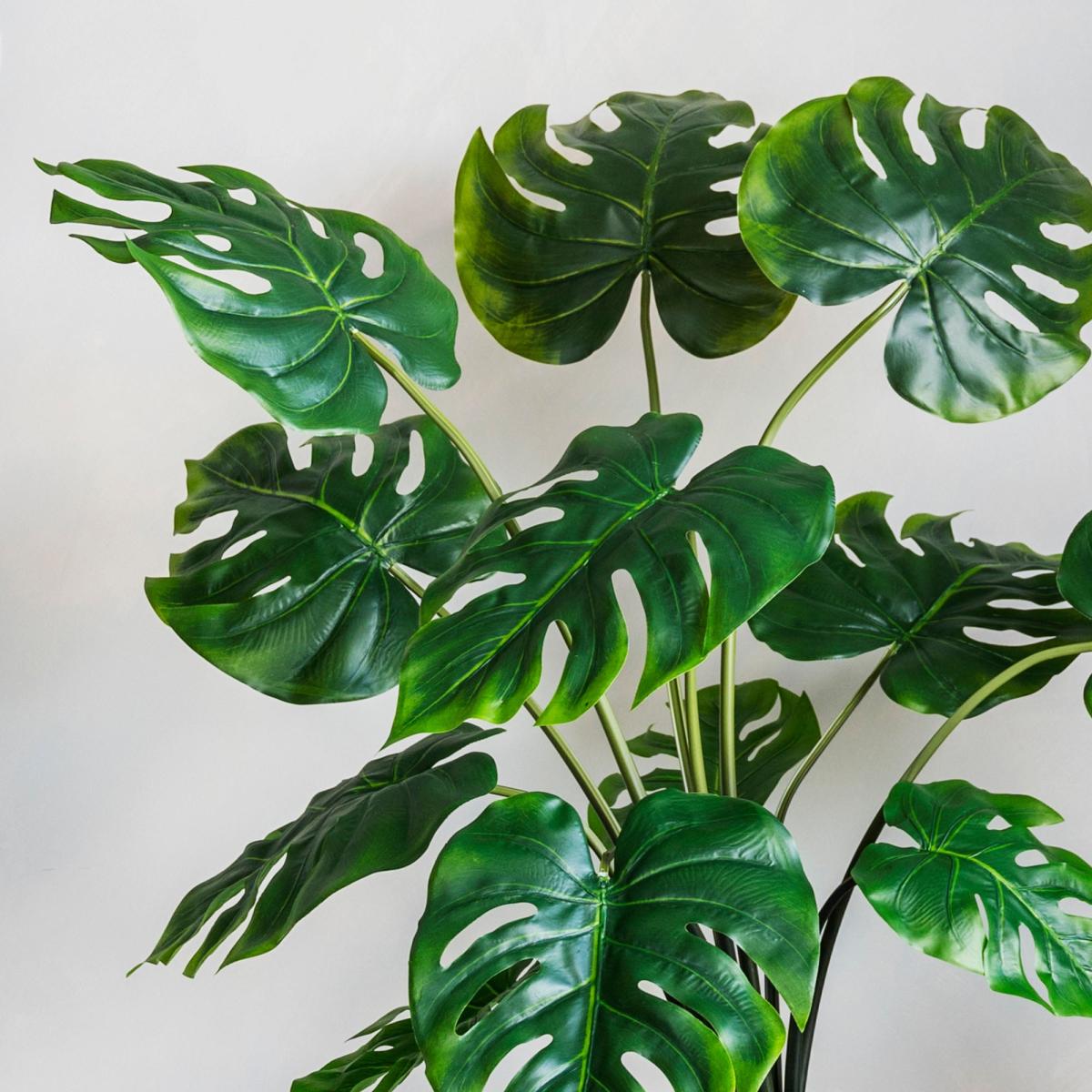 Artificial Swiss Cheese Plant Green – image 2