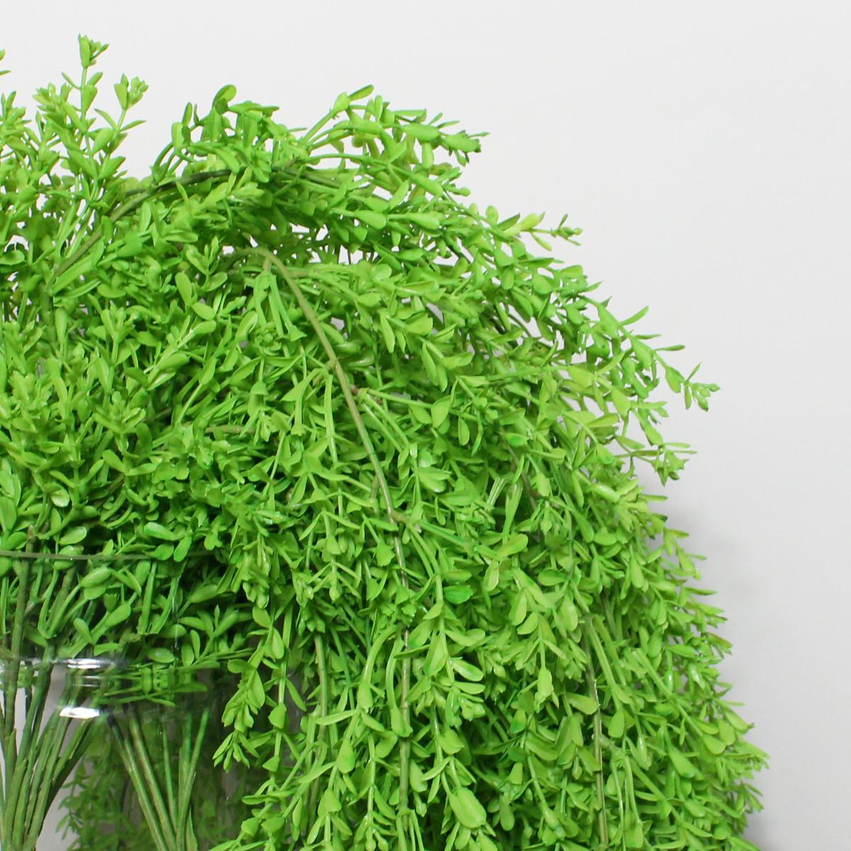 Pack of 12 Green Artificial Trailing Vine Bush Green – image 2