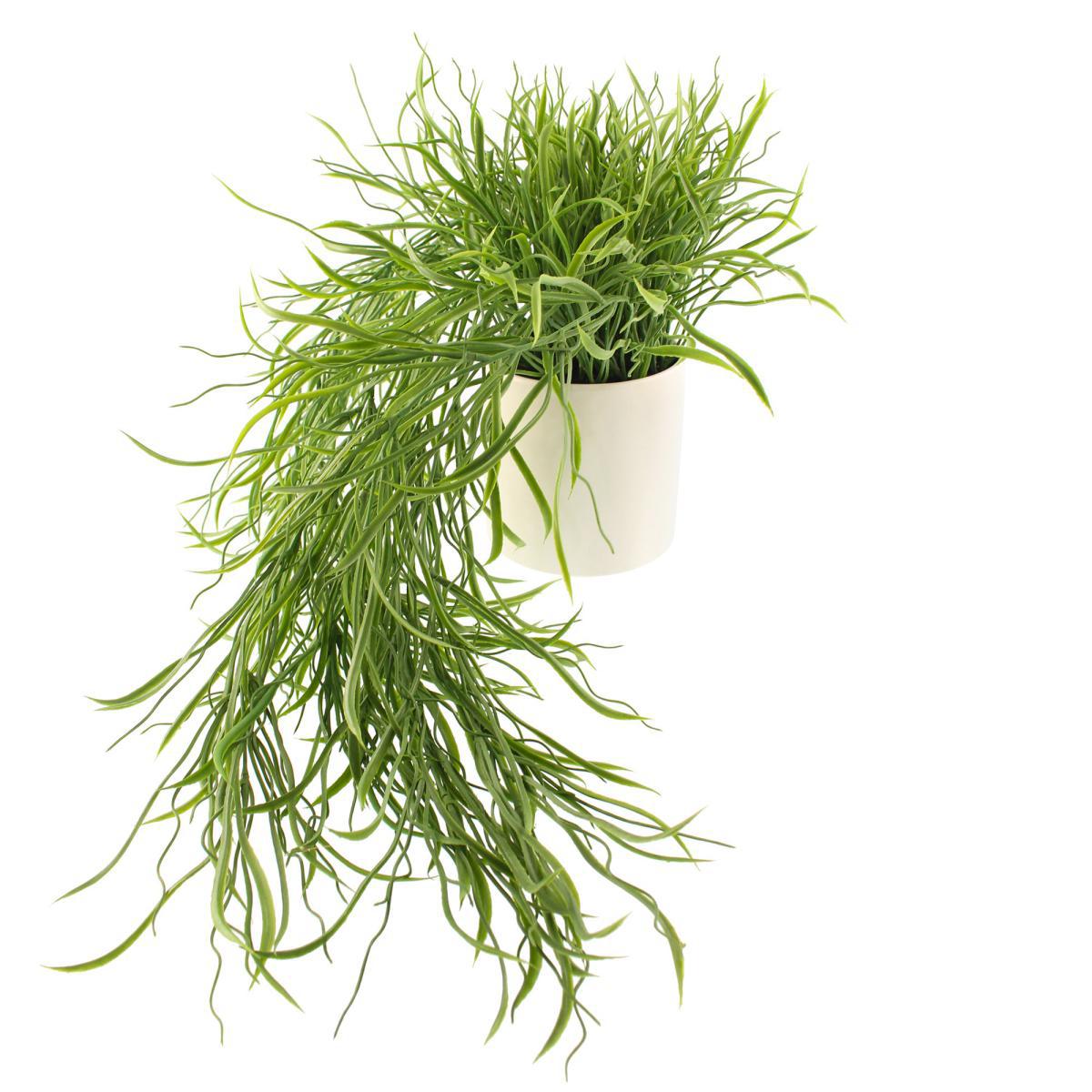 Coastal Artificial Trailing Grass in White Ceramic Pot Green – image 3