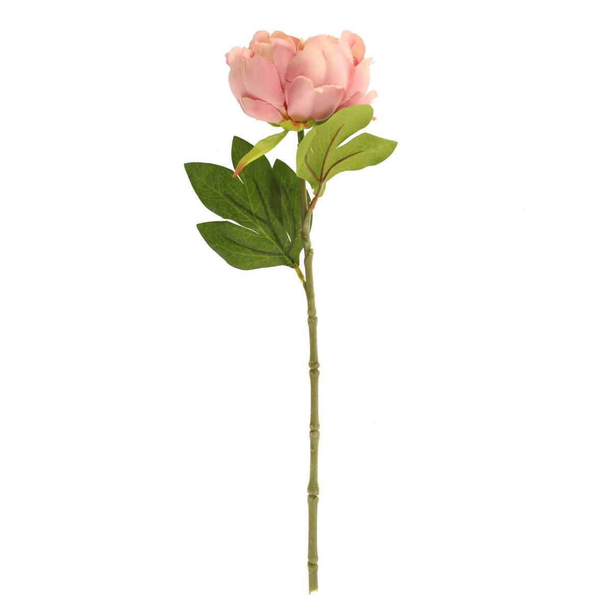 Pack of 12 Artificial Pink Peony Stem Pink – image 3