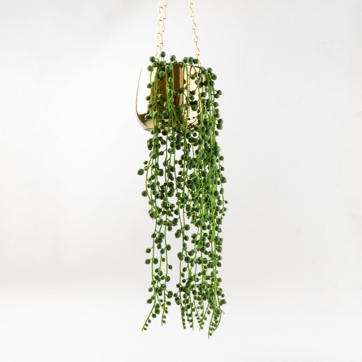 Trailing Plant in Ceramic Pot Gold – image 2