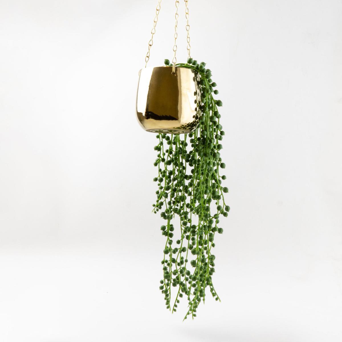 Trailing Plant in Ceramic Pot Gold – image 3