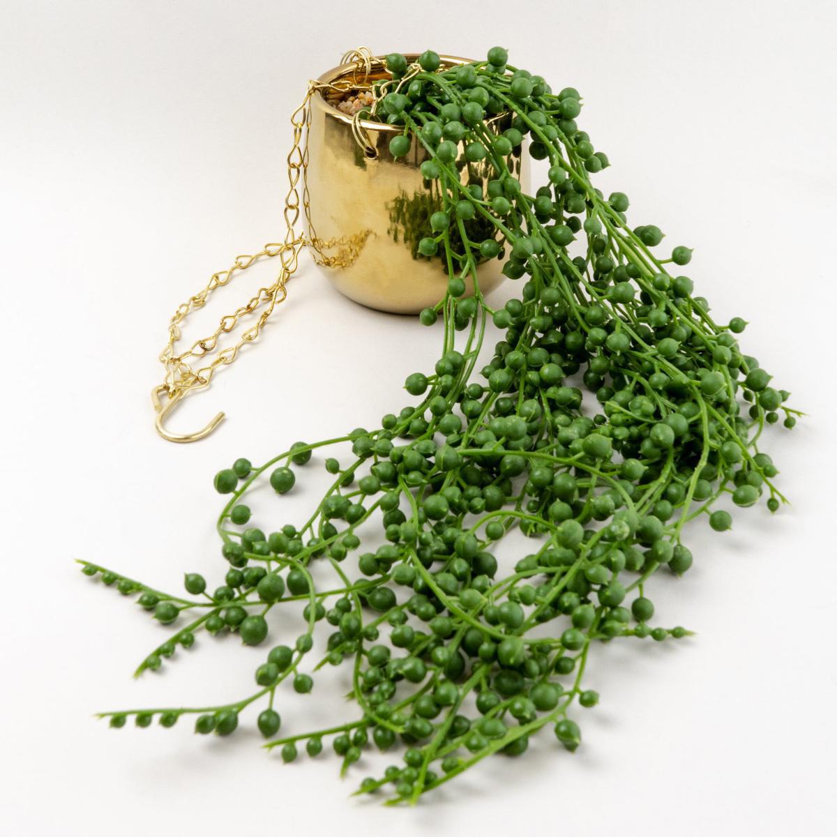 Trailing Plant in Ceramic Pot Gold – image 4