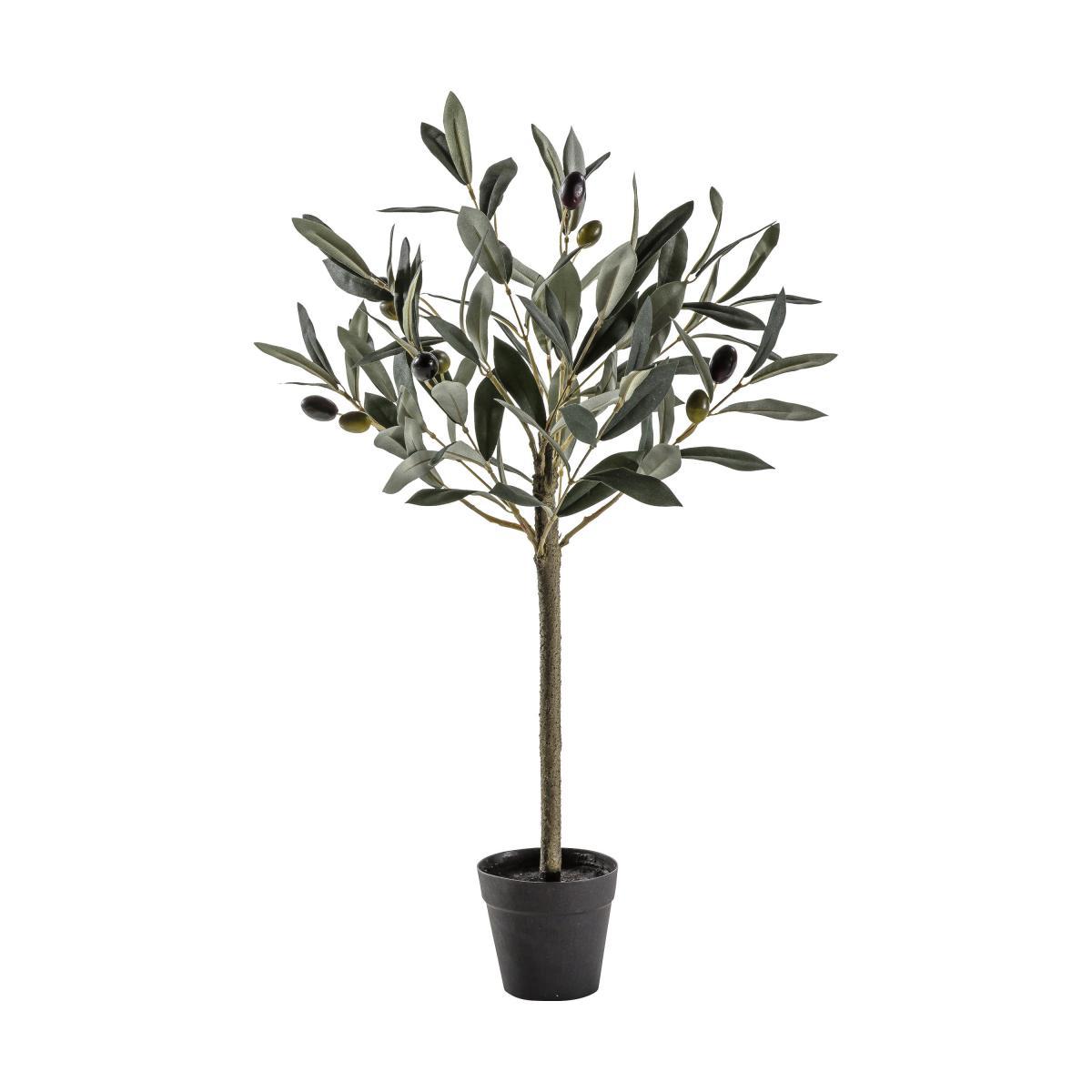 Hurst Olive Tree Small Green – image 2