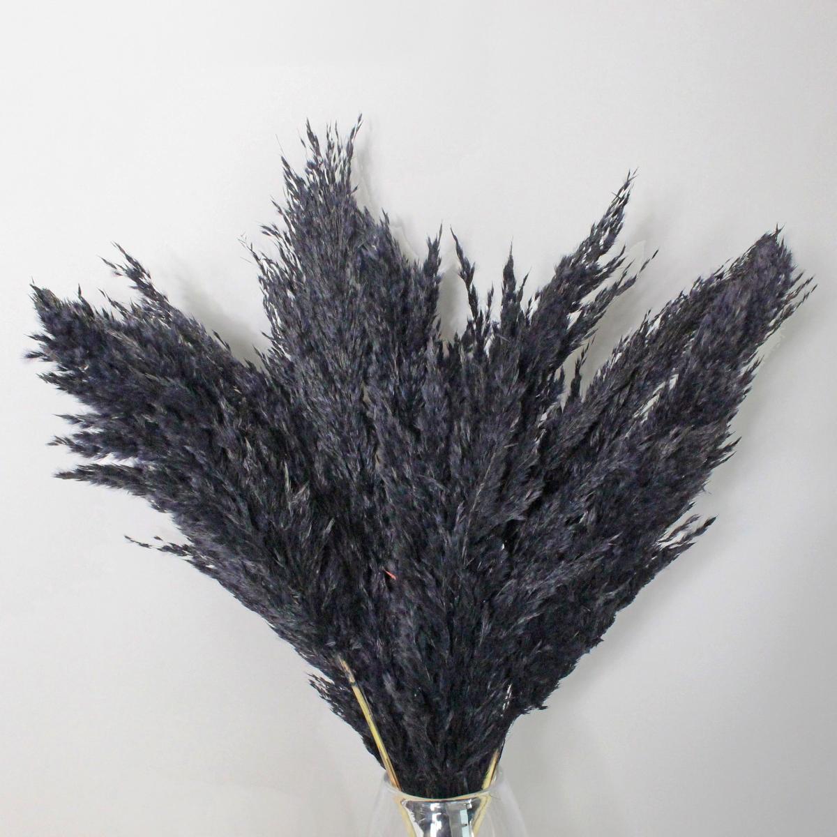 Black Real Pampas Grass Bundle 75cm Black – image 2