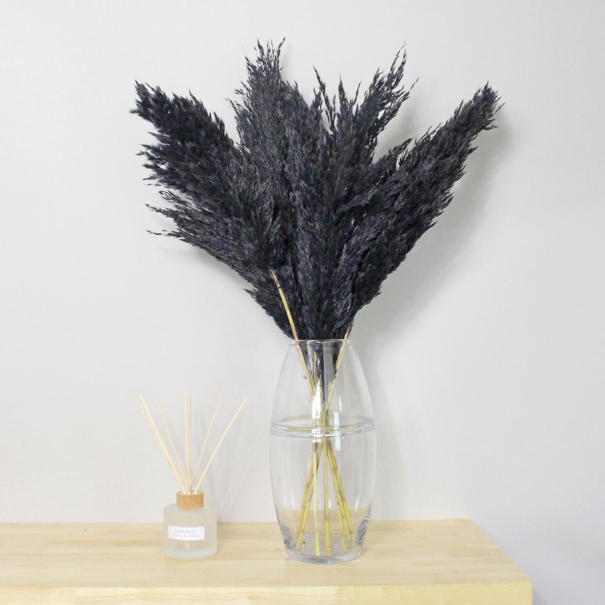 Black Real Pampas Grass Bundle 75cm Black – image 1