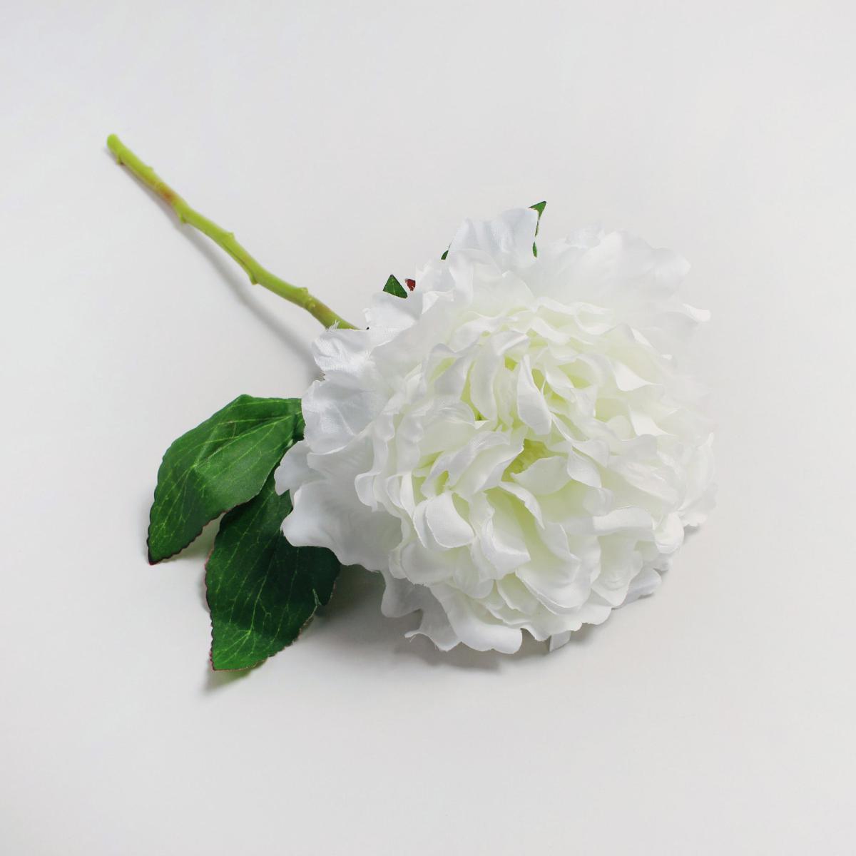 Pack of 12 Artificial Peony Cream Single Stem 40cm Cream (Natural) – image 2