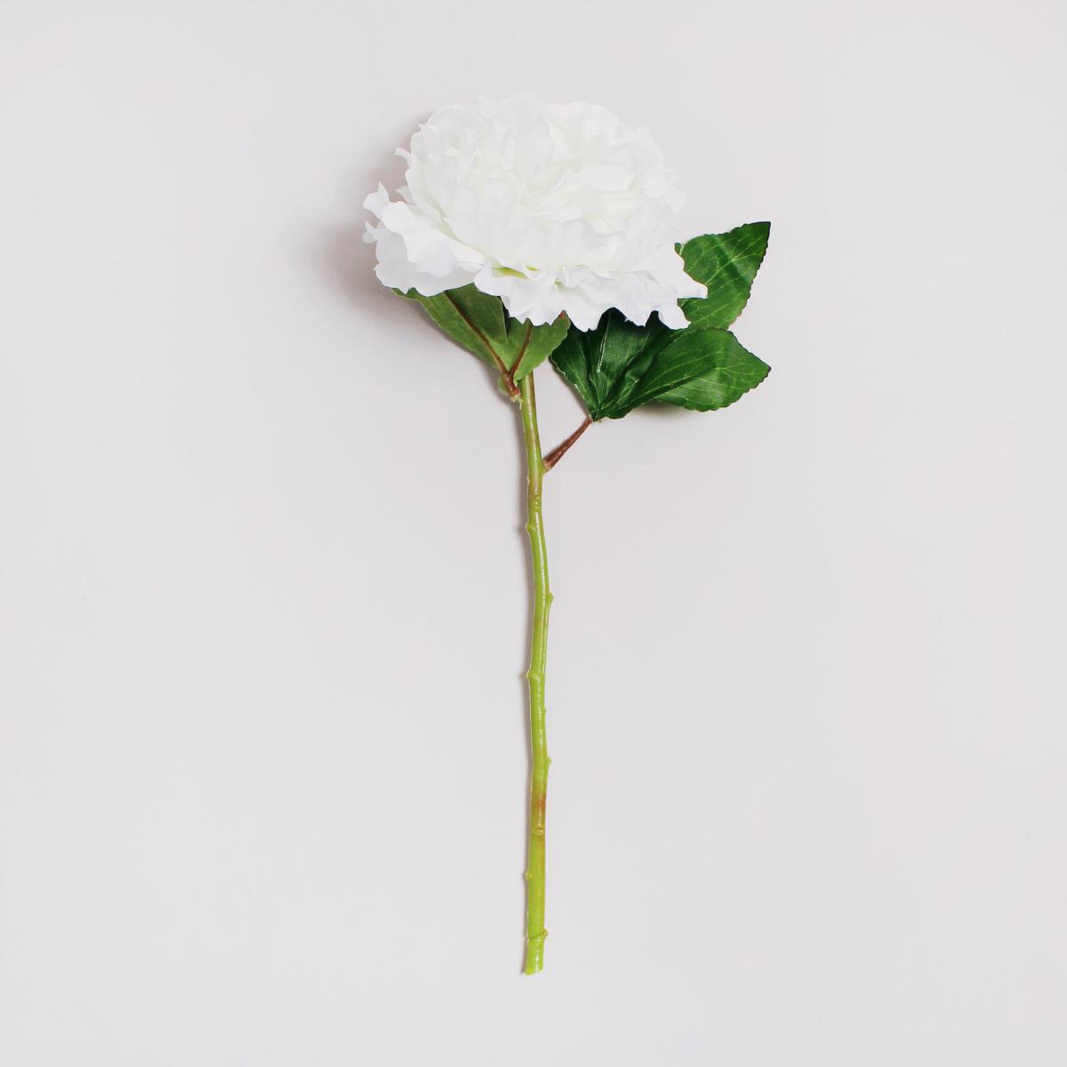 Pack of 12 Artificial Peony Cream Single Stem 40cm Cream (Natural) – image 3
