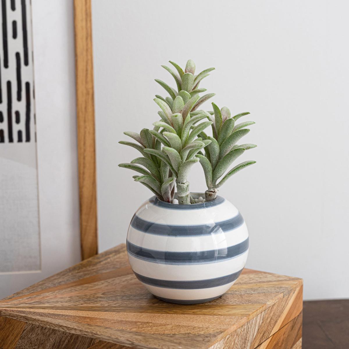 Coastal Artificial Succulent in Blue Banded Ceramic Pot Green/White – image 3