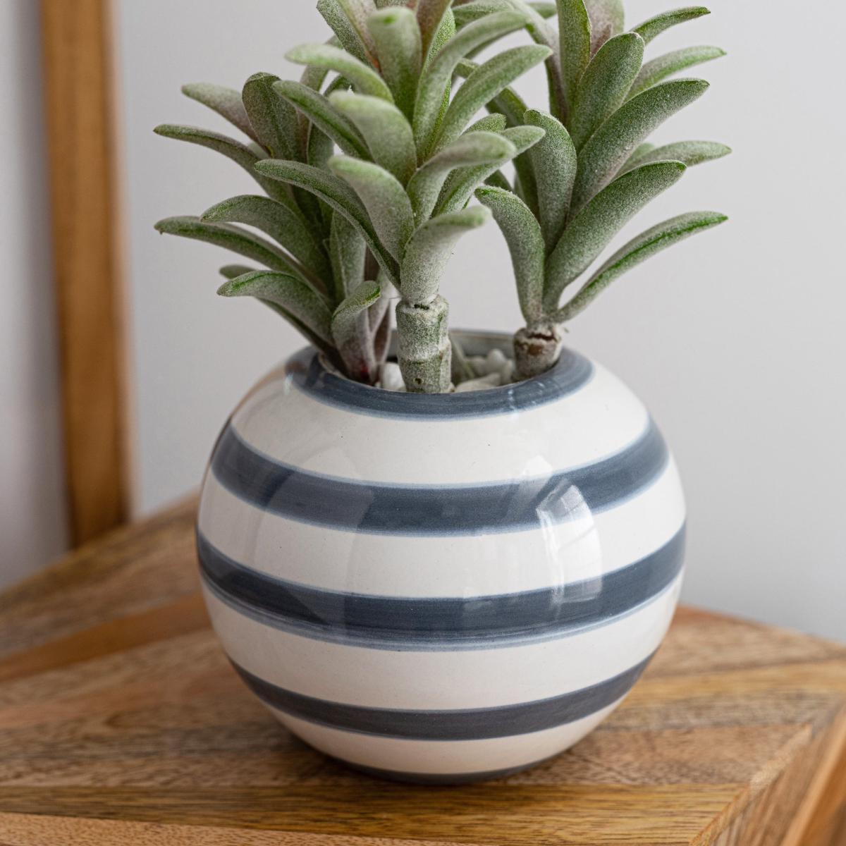Coastal Artificial Succulent in Blue Banded Ceramic Pot Green/White – image 4