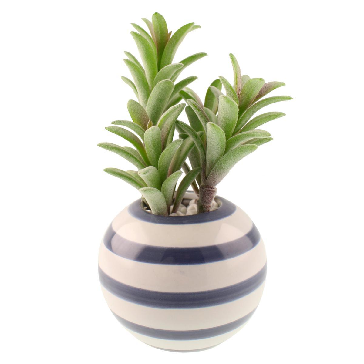 Coastal Artificial Succulent in Blue Banded Ceramic Pot Green/White – image 5