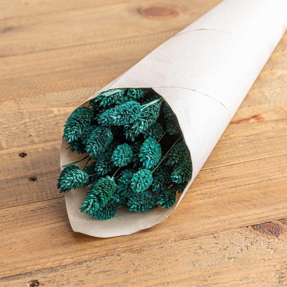 Teal Dried Phalaris Bundle Teal (Blue) – image 2