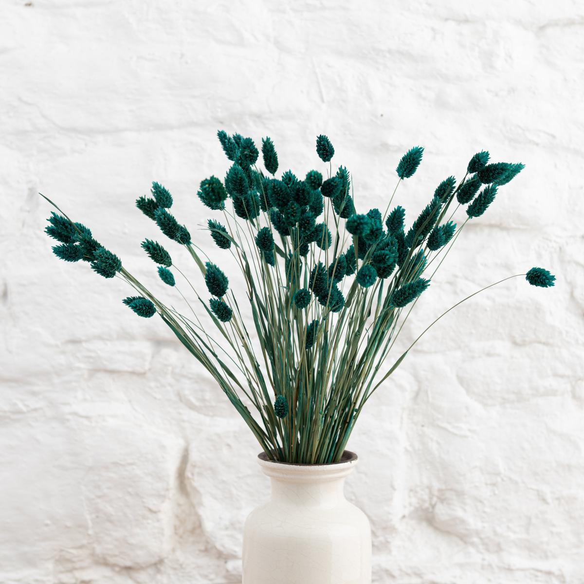 Teal Dried Phalaris Bundle Teal (Blue) – image 4