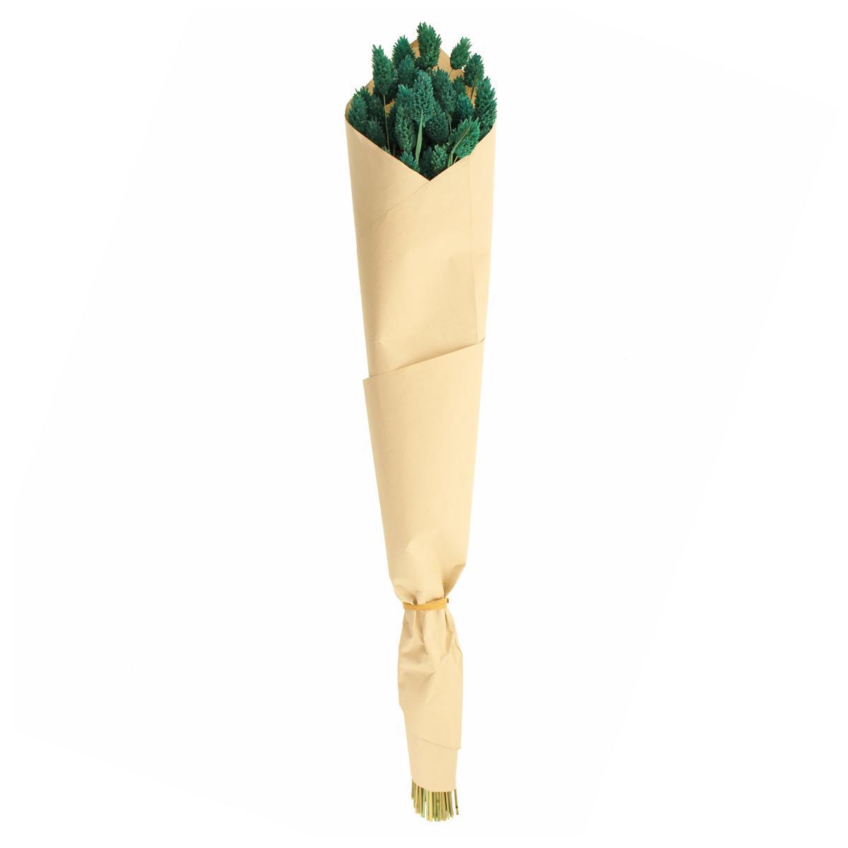 Teal Dried Phalaris Bundle Teal (Blue) – image 5