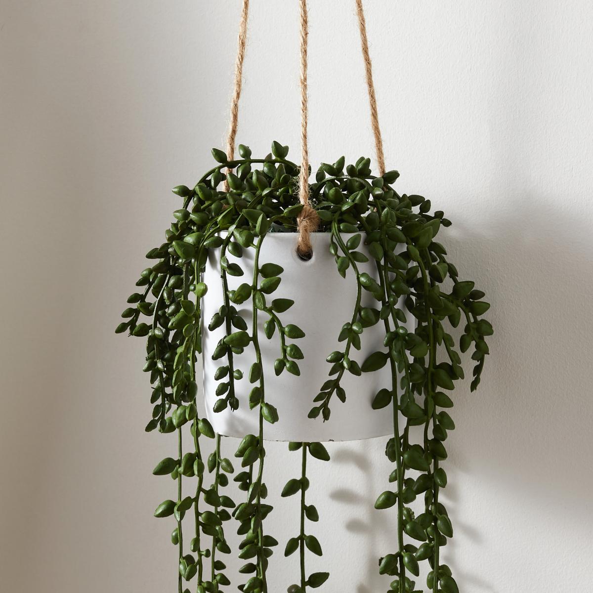 Hanging Trailing Plant in Pot Green – image 2