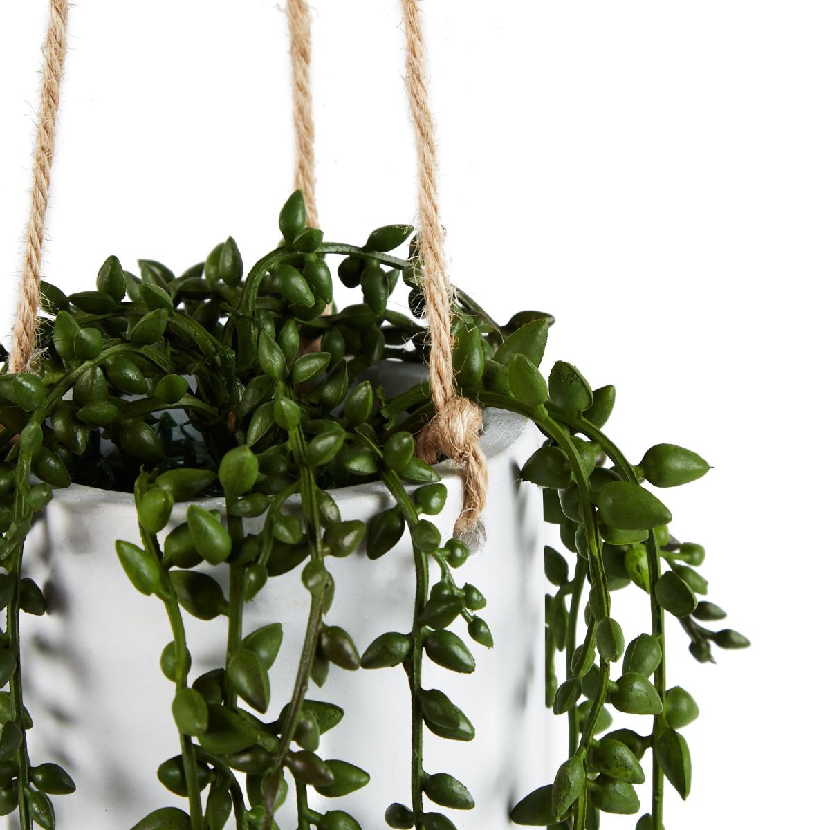 Hanging Trailing Plant in Pot Green – image 3