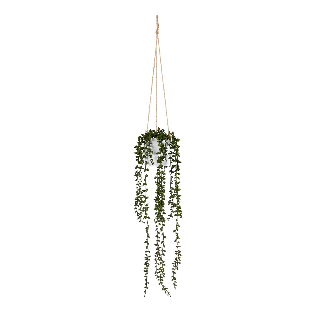 Hanging Trailing Plant in Pot Green – image 5