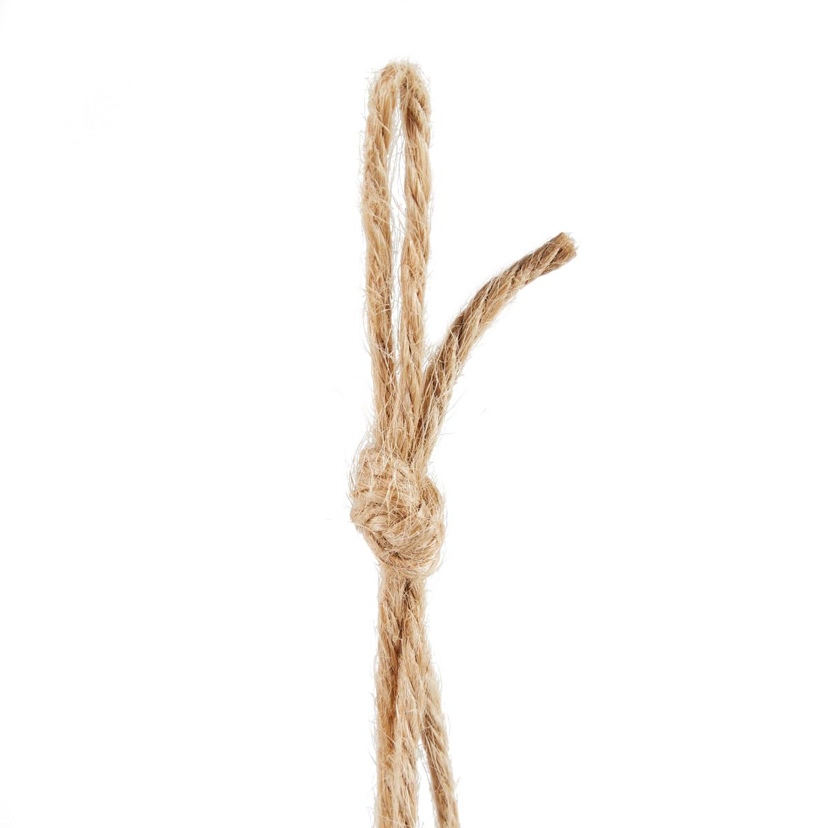 Hanging Trailing Plant in Pot Green – image 6