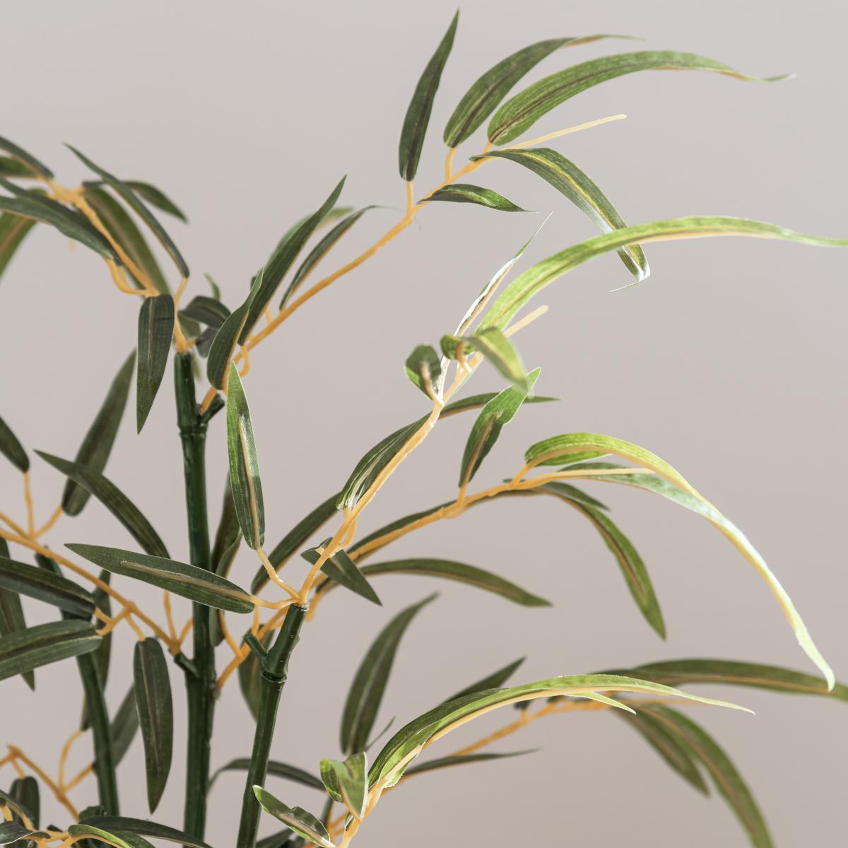 Tabletop Bamboo in Basket Pot Green – image 2