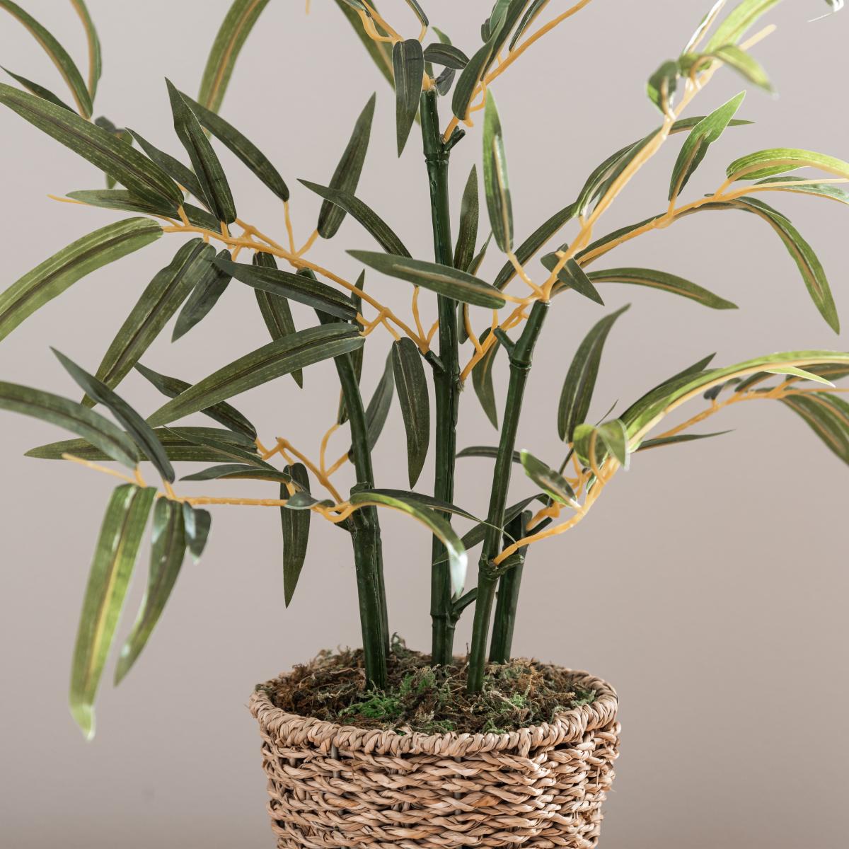 Tabletop Bamboo in Basket Pot Green – image 3