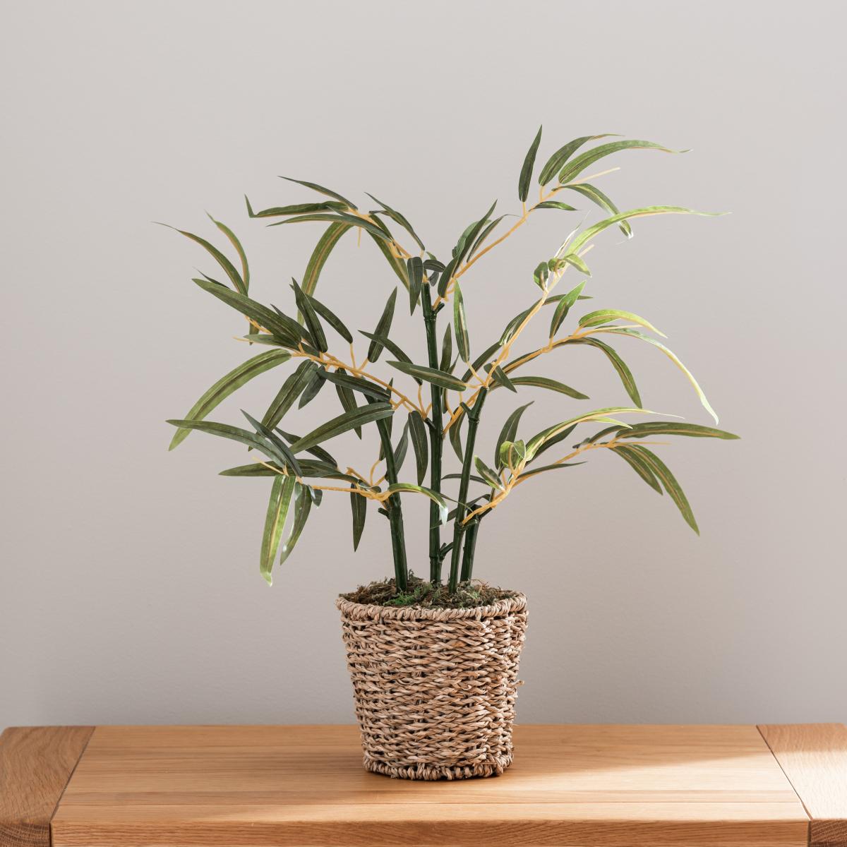 Tabletop Bamboo in Basket Pot Green – image 5