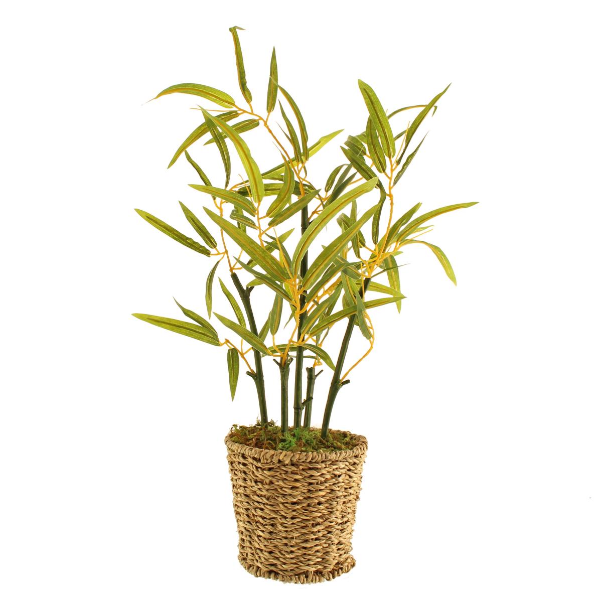 Tabletop Bamboo in Basket Pot Green – image 6
