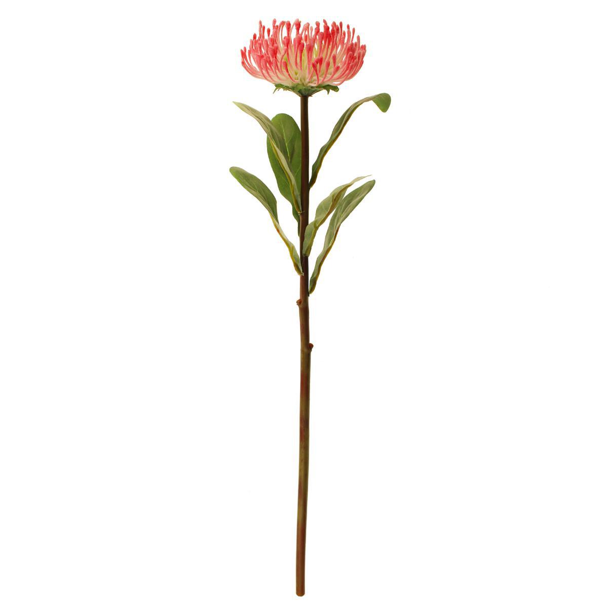 Pack of 12 Artificial Banksia Pink Stems Pink – image 3