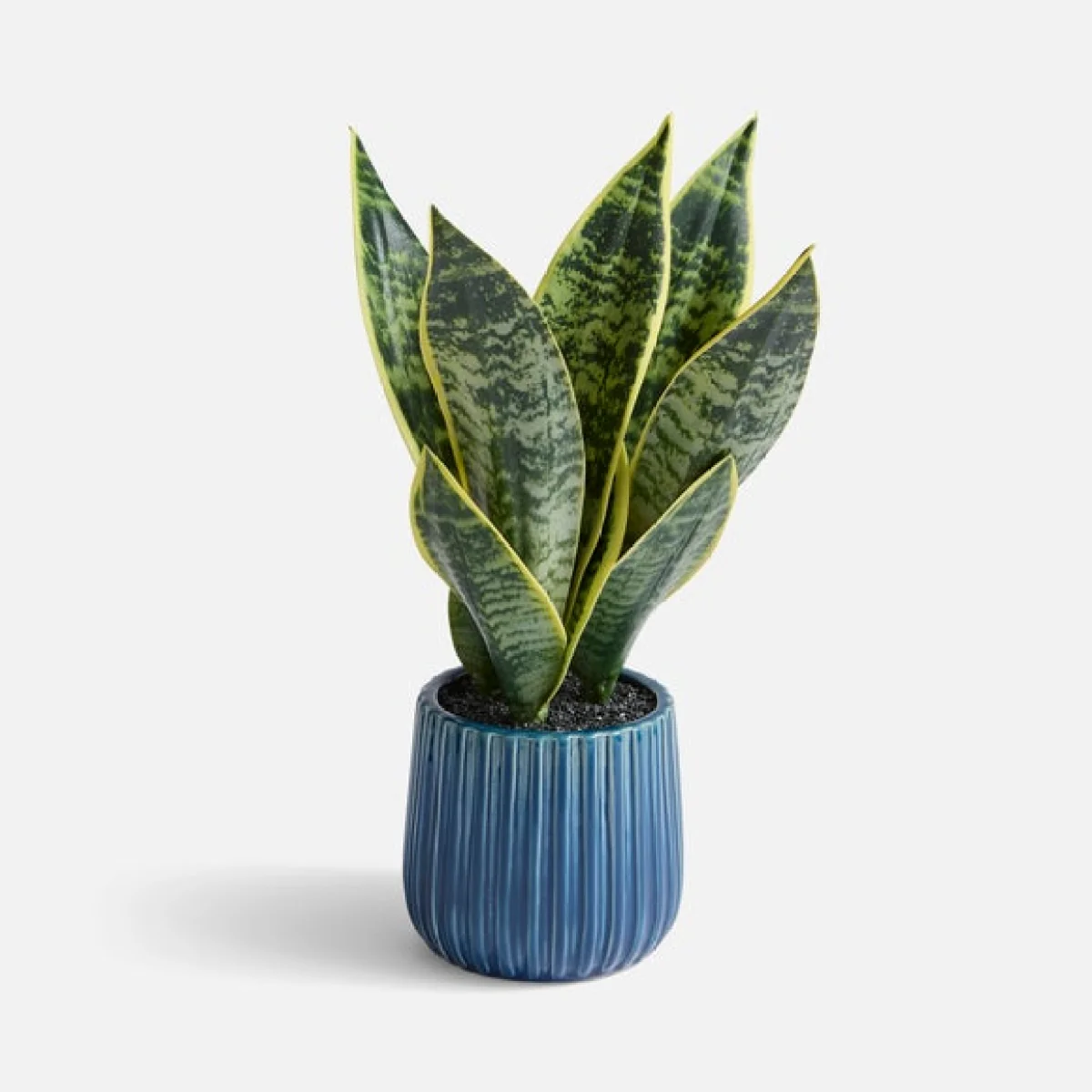 Artificial Snake Plant in Ribbed Blue Glazed Ceramic Plant Pot – image 3