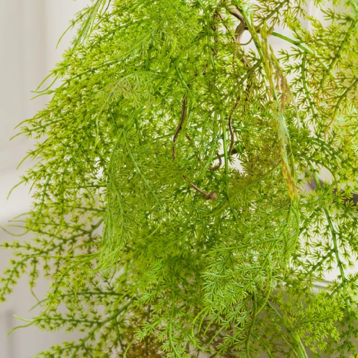 Artificial Trailing Asparagus Fern Spray – image 3