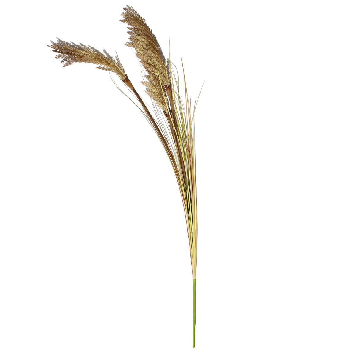 Tall Natural Seeded Grass 128cm Natural – image 4