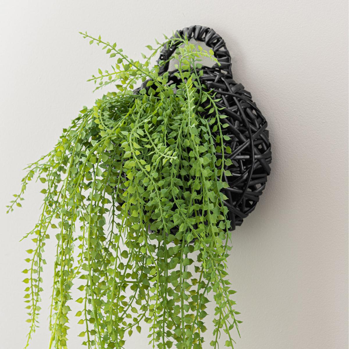 Hanging String of Pearls in Black Basket Green – image 2