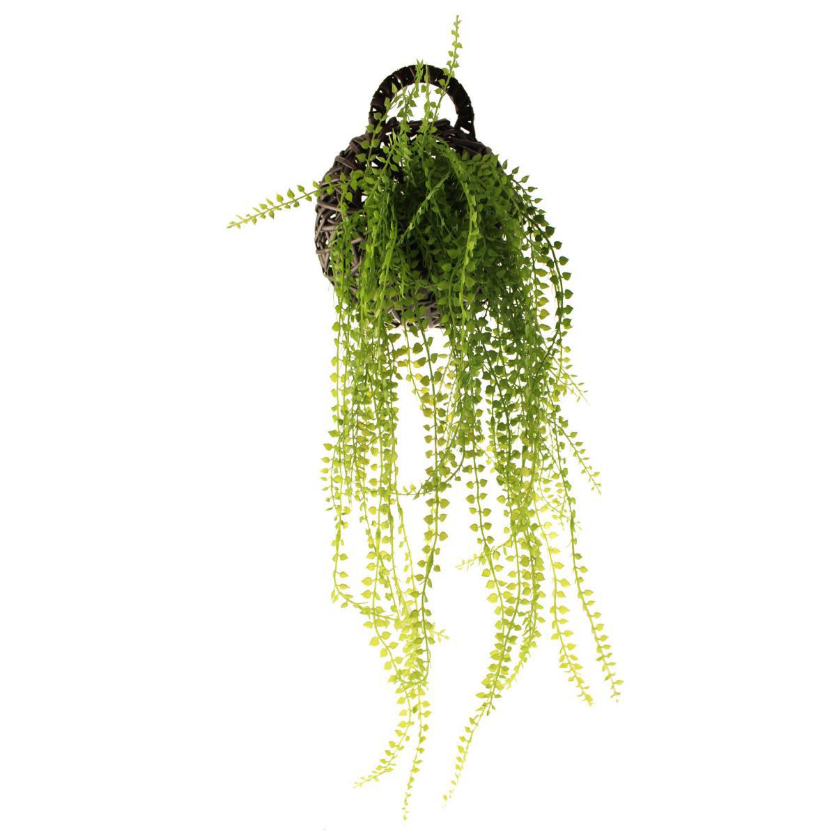 Hanging String of Pearls in Black Basket Green – image 3