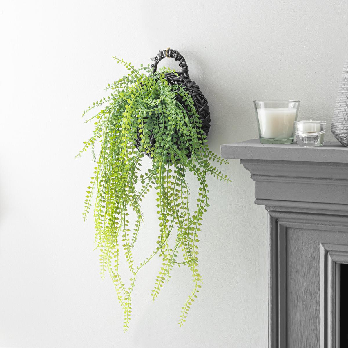 Hanging String of Pearls in Black Basket Green – image 1