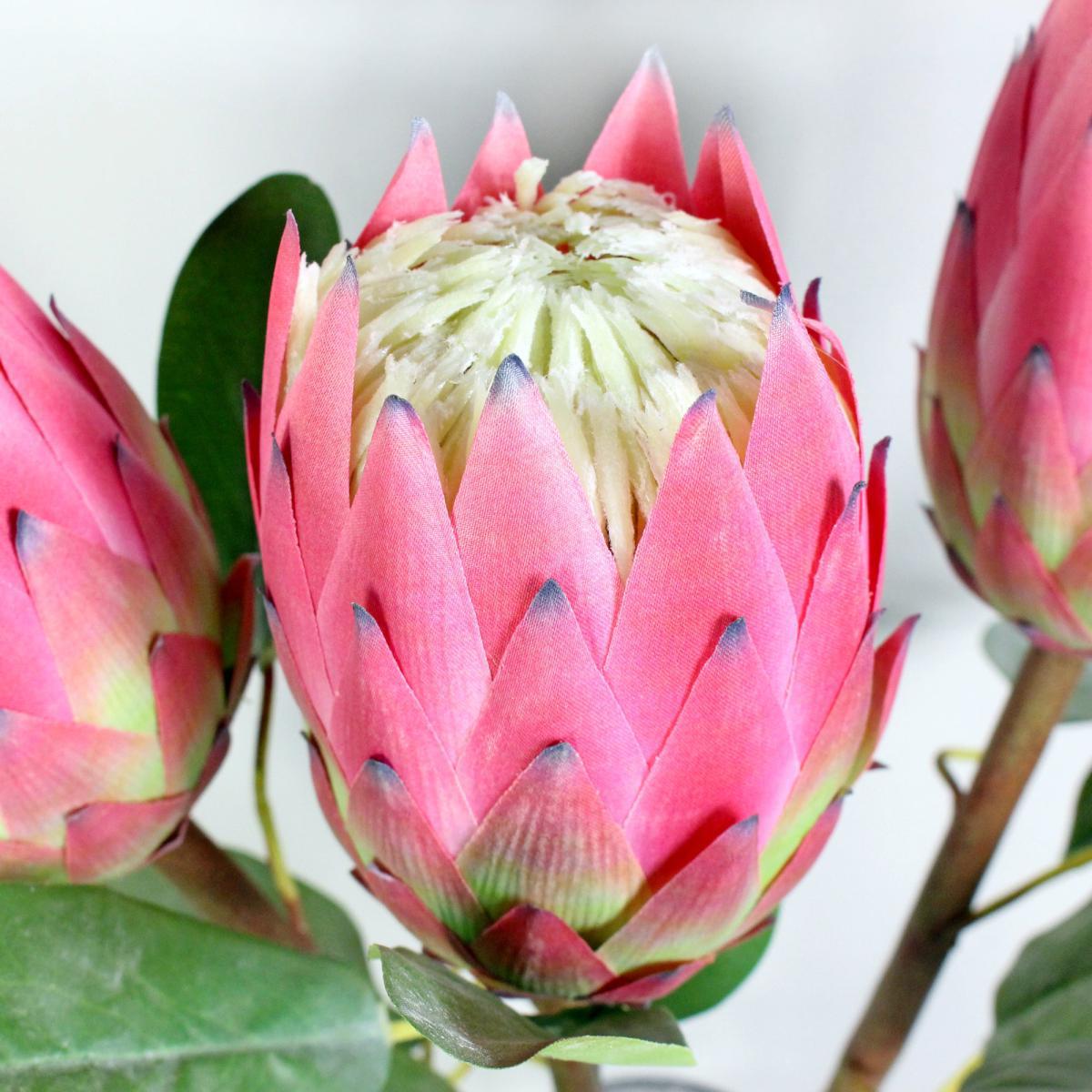 Pink Protea Stem 3 Pack Pink – image 2