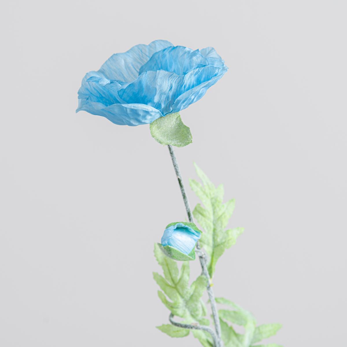 Icelandic Blue Poppy Belle 70cm Blue – image 2