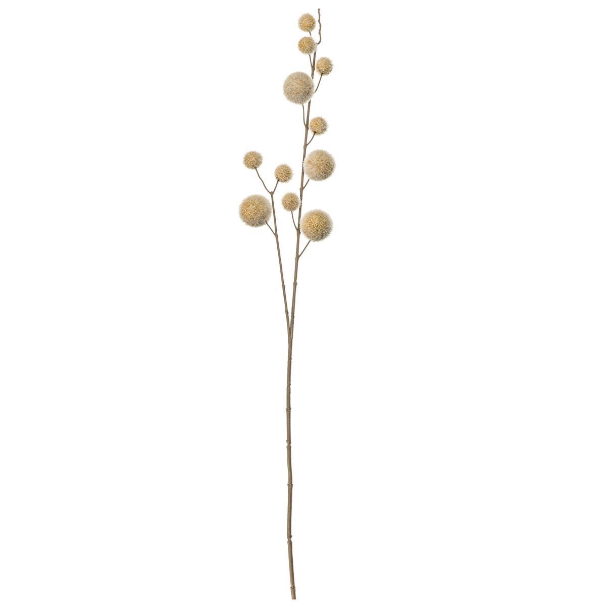 Pack of 6 Freya Pom Pom Spray Natural – image 3