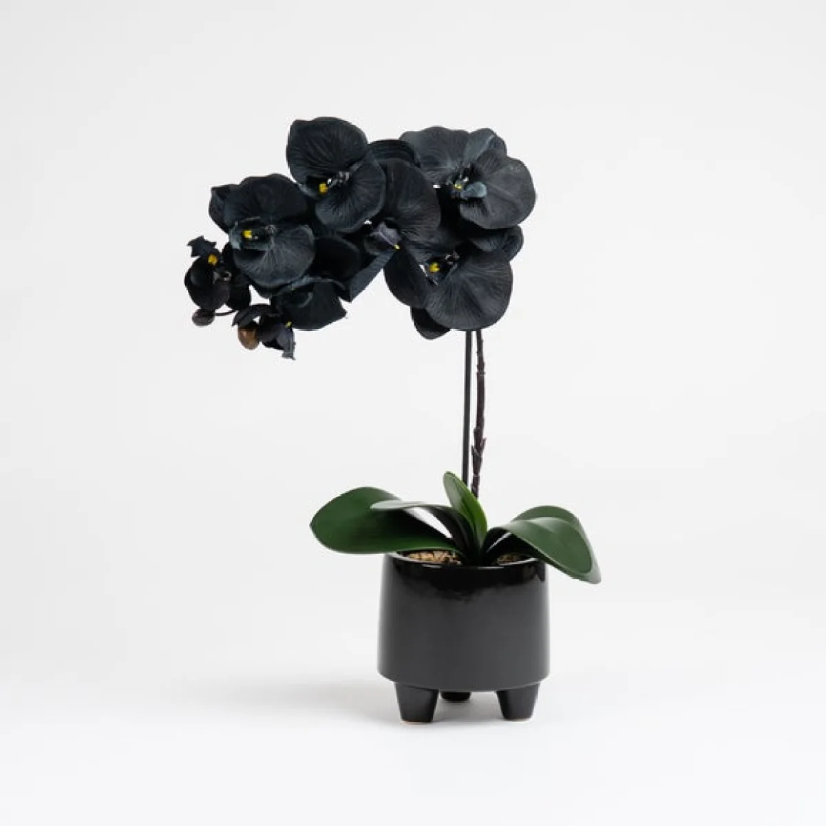 Artificial Black Orchid in Ceramic Pot – image 2