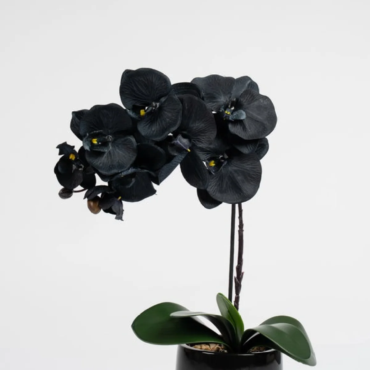 Artificial Black Orchid in Ceramic Pot – image 3