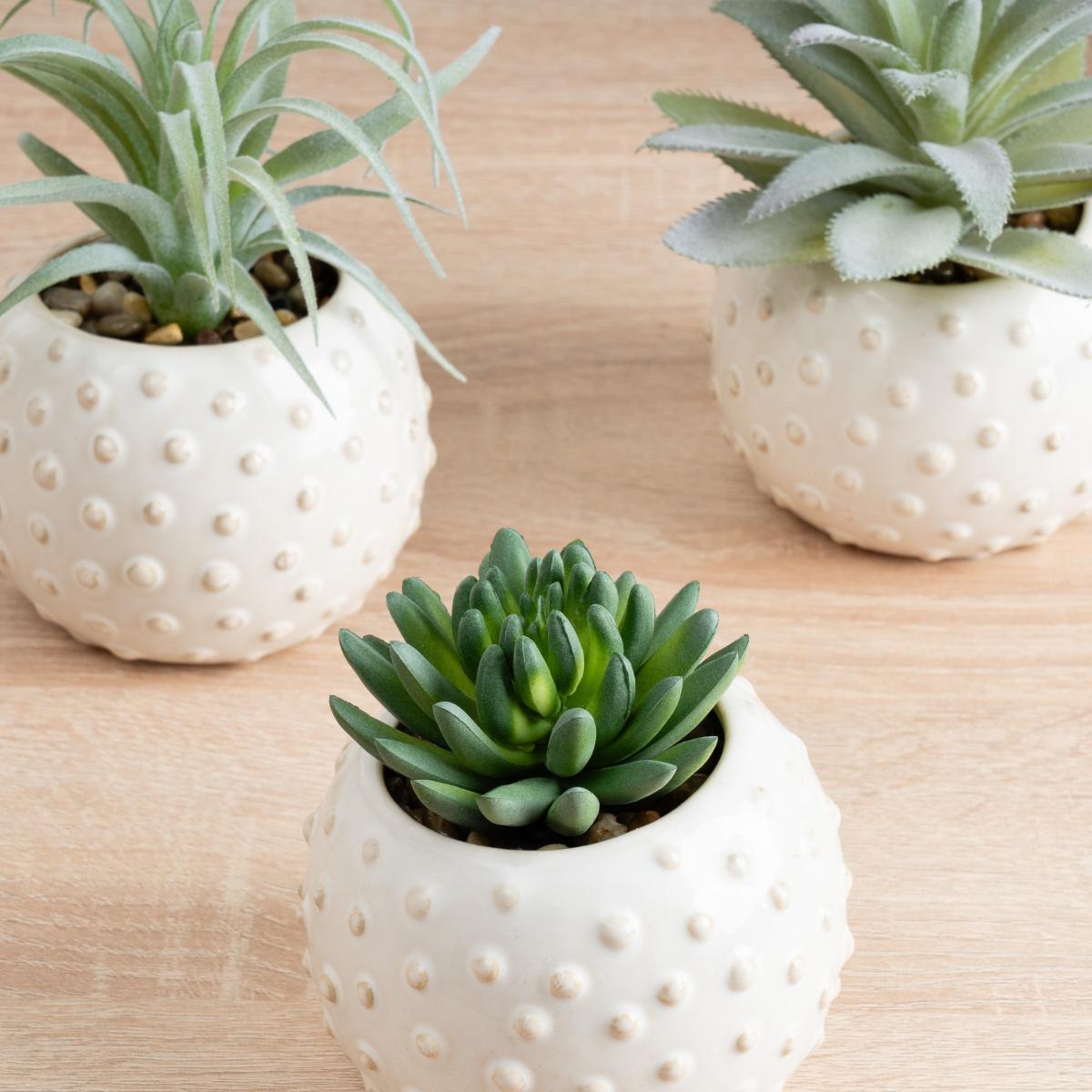 Set of 3 Artificial Succulents – image 2