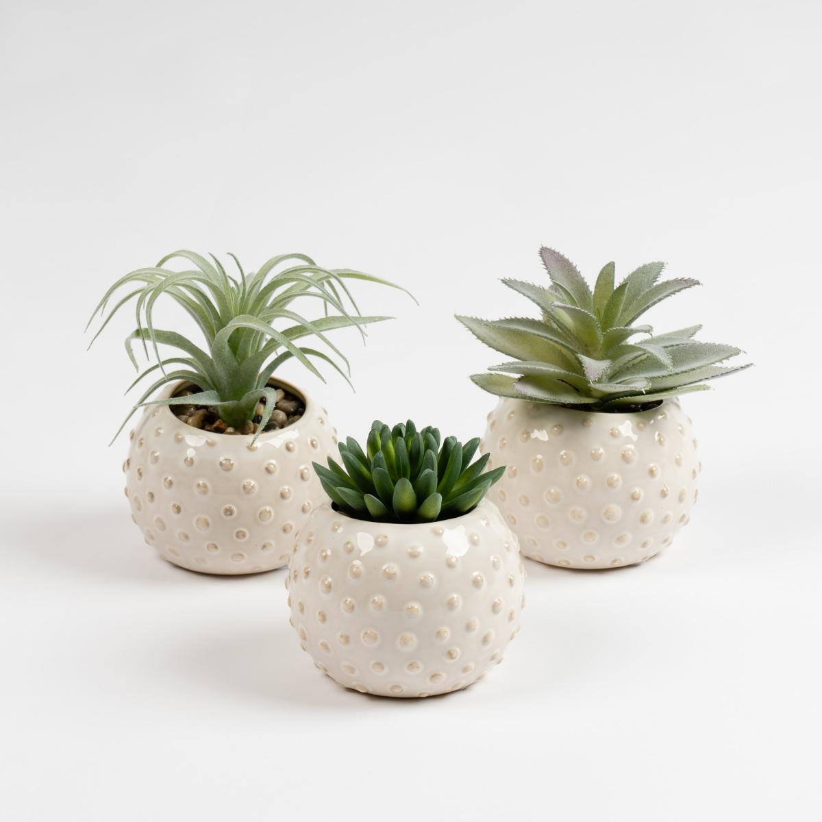 Set of 3 Artificial Succulents – image 3