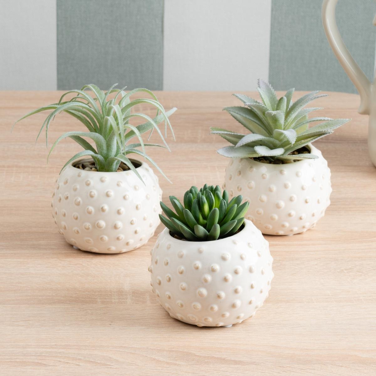 Set of 3 Artificial Succulents – image 1