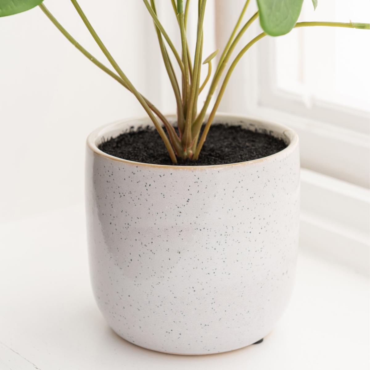 Chinese Money Plant Reactive Glaze Green – image 3