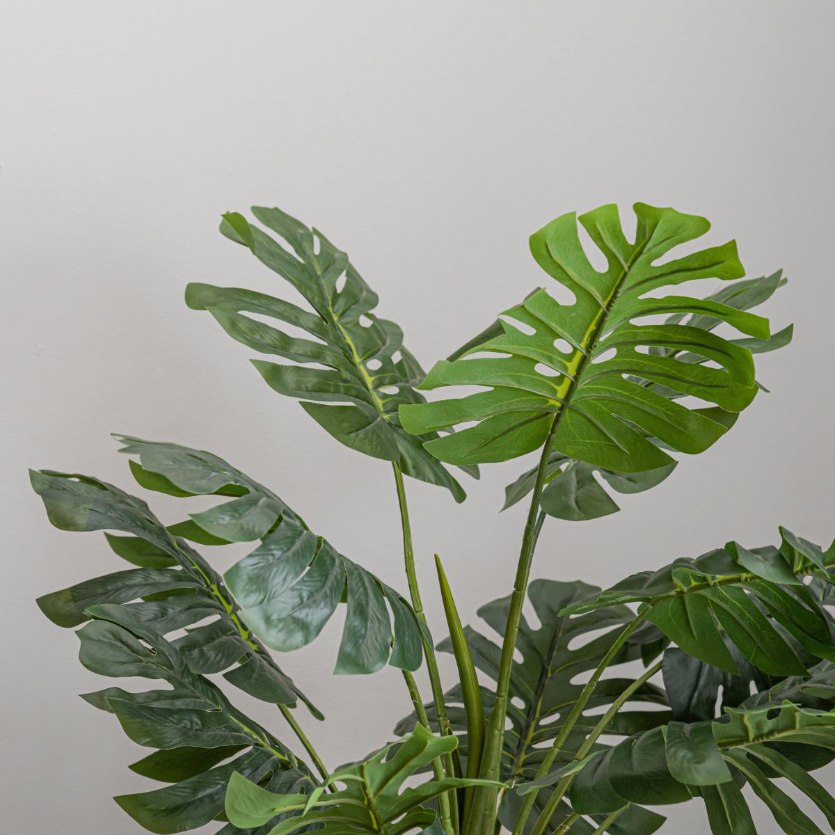 Monstera in Bamboo Basket Natural – image 4