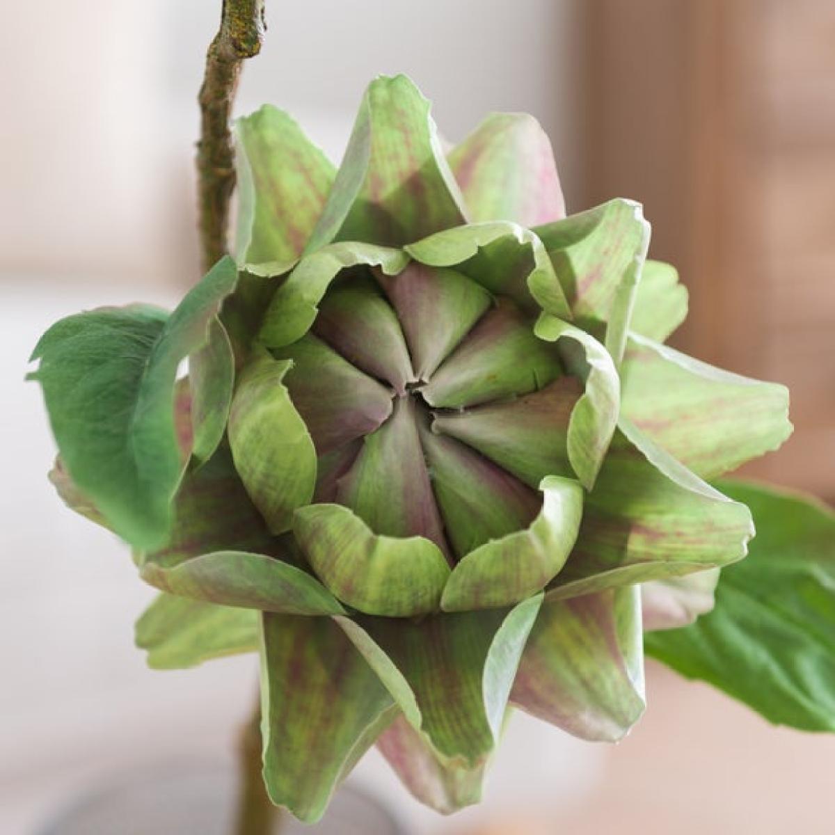 Artificial Star Shaped Artichoke Stem – image 3
