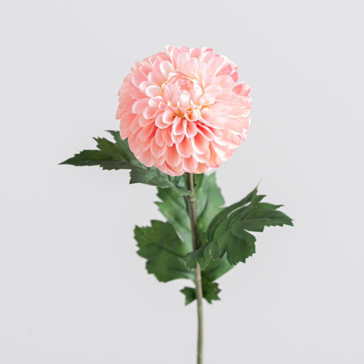 Pink Ball Dahlia 75cm Pink – image 2