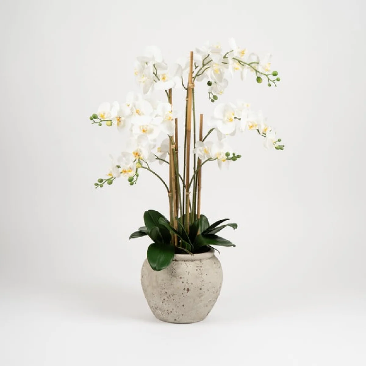 Oversized Orchid in Rustic Pot – image 2