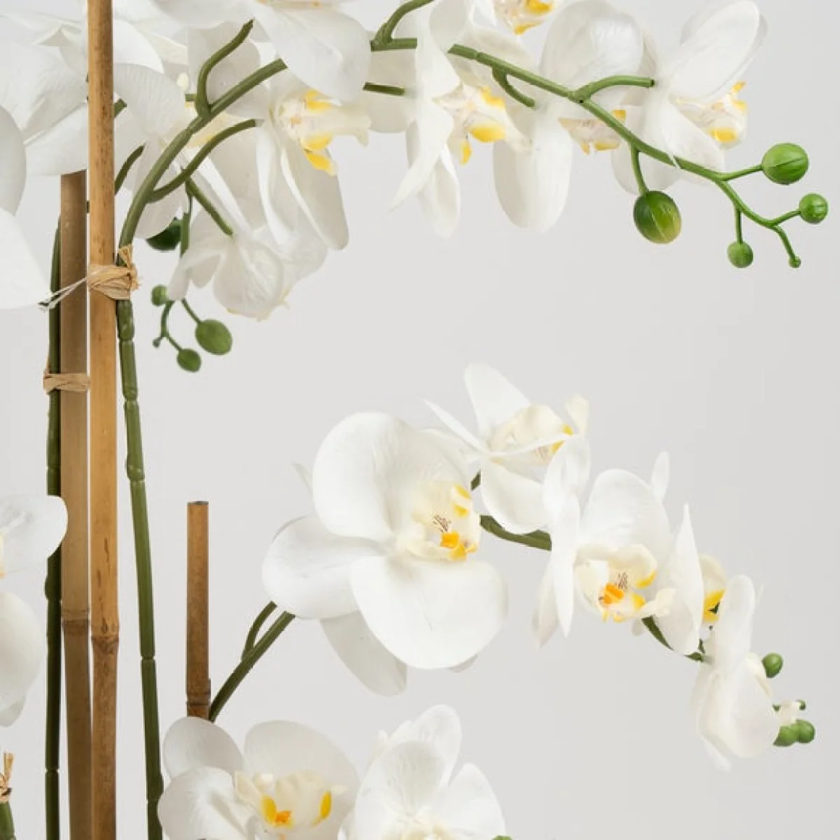 Oversized Orchid in Rustic Pot – image 3