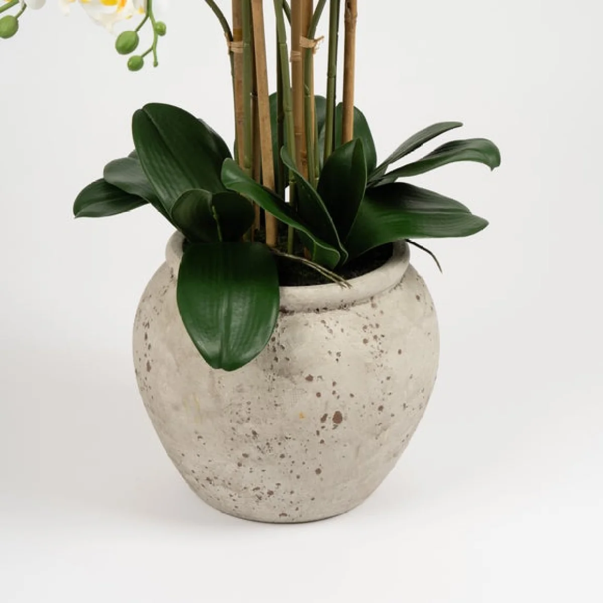 Oversized Orchid in Rustic Pot – image 4