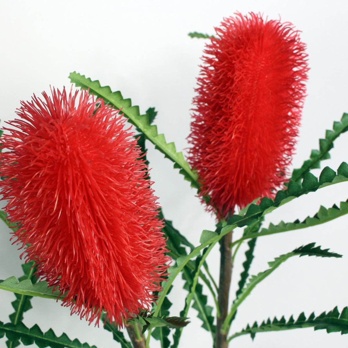 Red Ashby's Banksia Stems 3 Pack Red – image 2